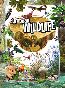 European Wildlife