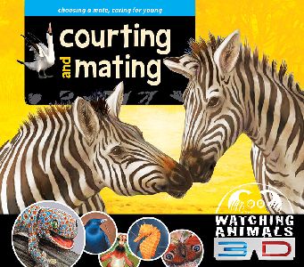 Courting and Mating