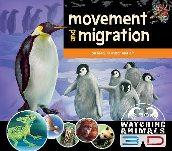 Movement and Migration