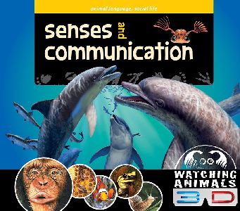 Senses and Communication