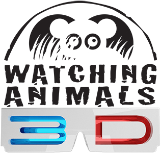 Watching Animals 3D