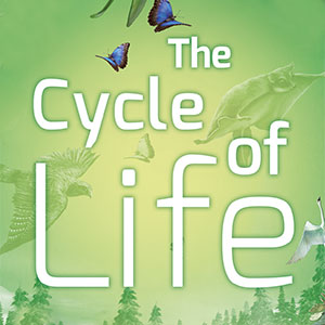 The Cycle of Life